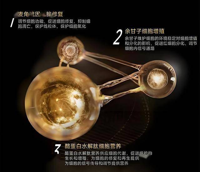 资源巨构崛起渤海湾